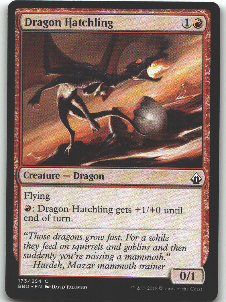 Dragon Hatchling