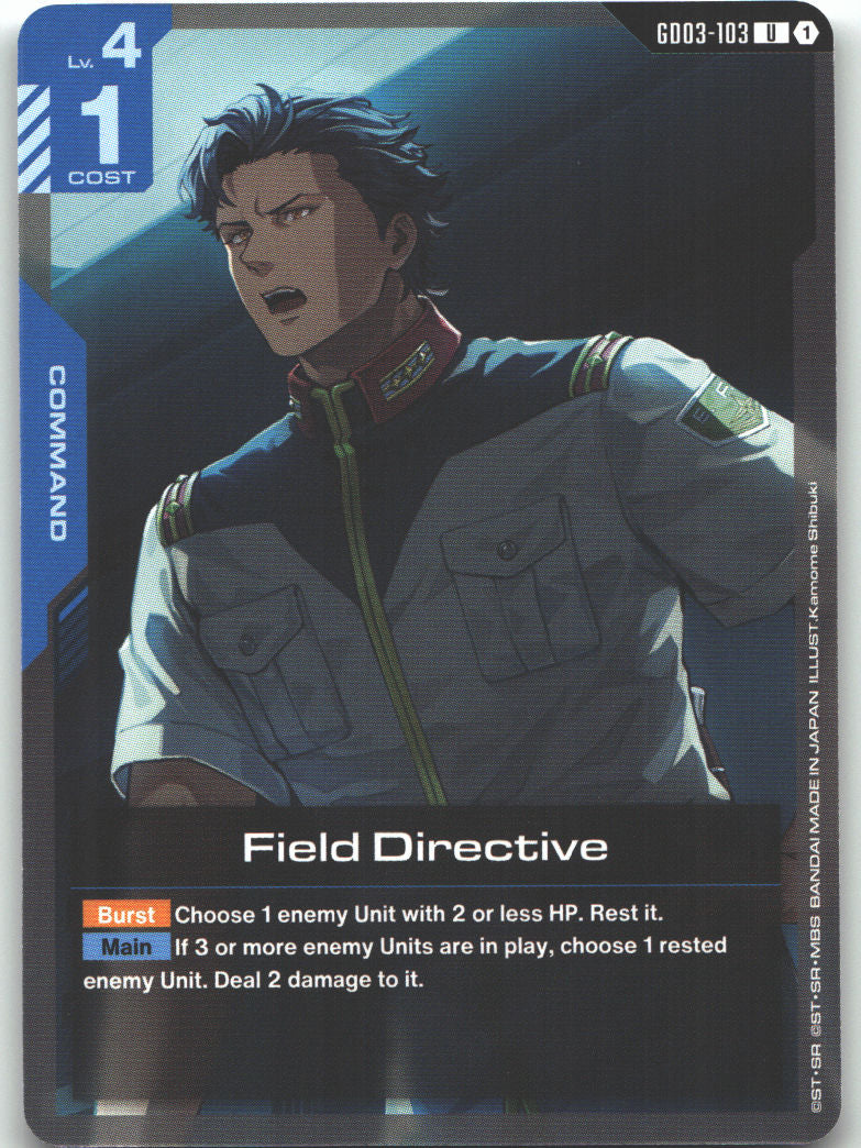 Field Directive
