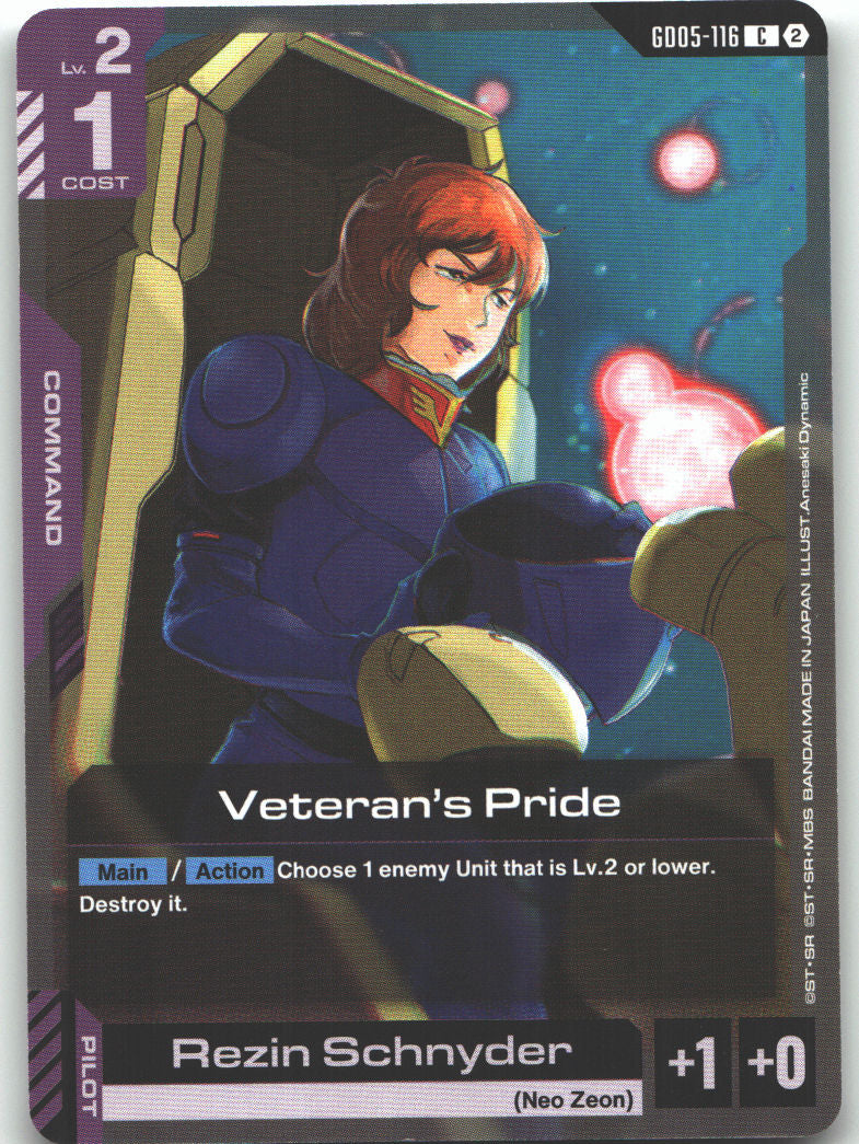Veteran's Pride