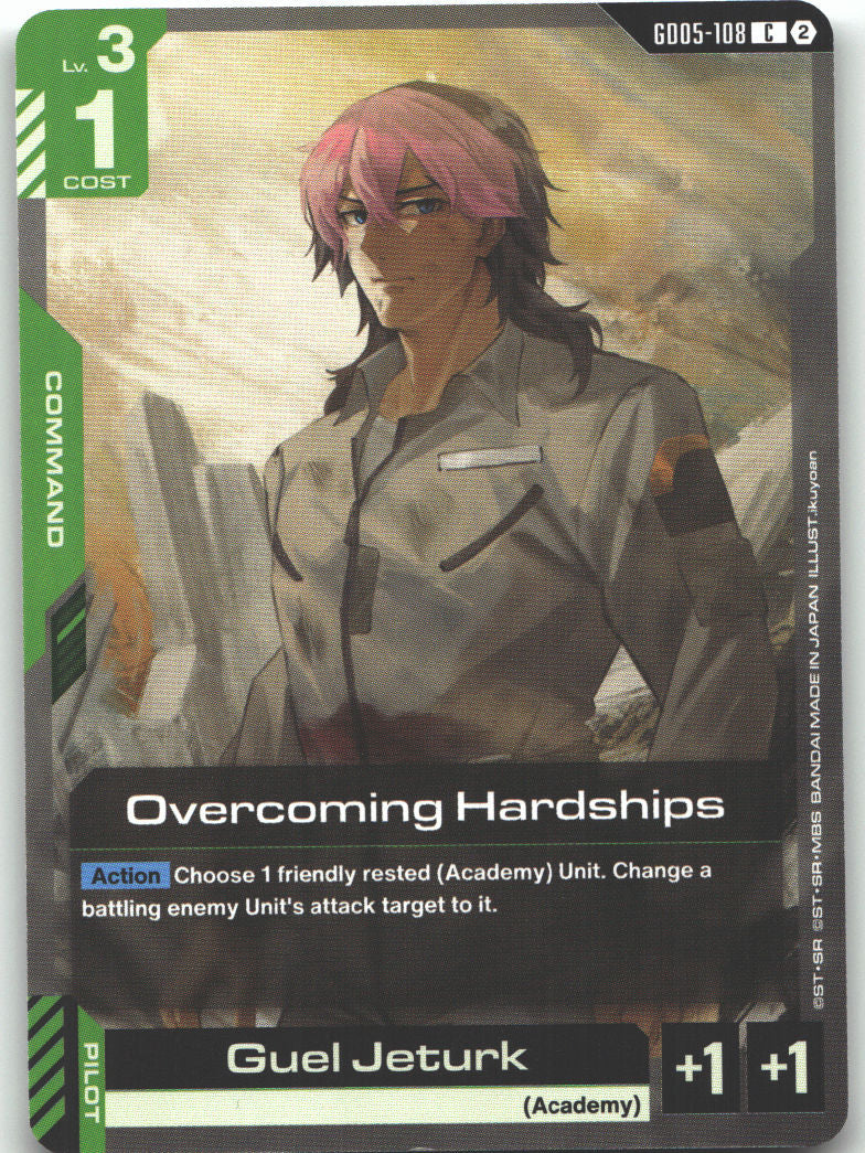Overcoming Hardships
