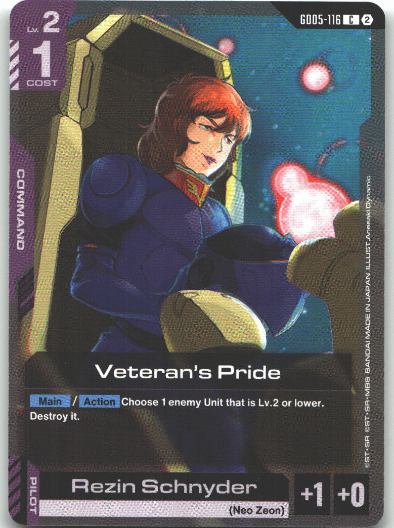 Veteran's Pride