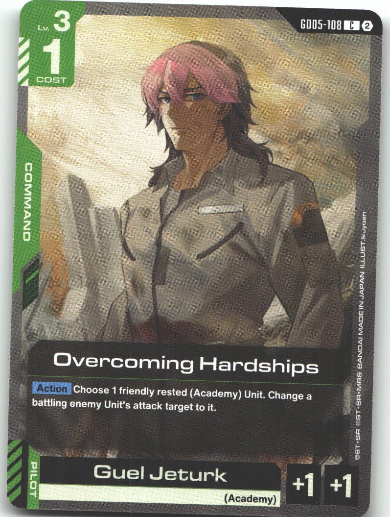 Overcoming Hardships