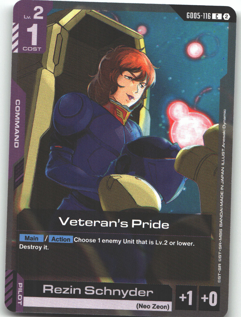 Veteran's Pride