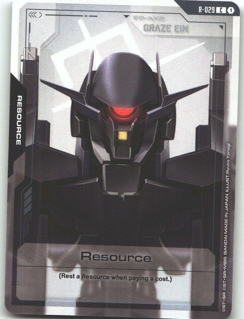 Resource (R-029)