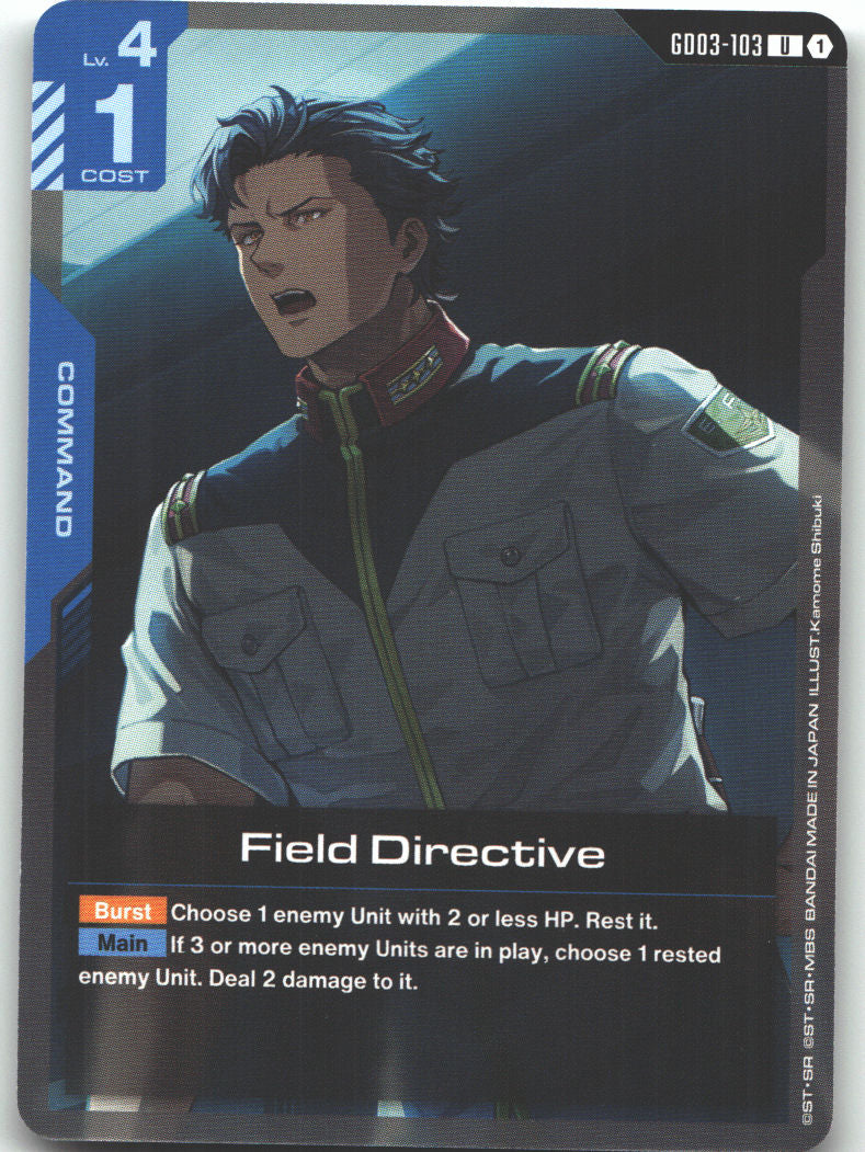 Field Directive
