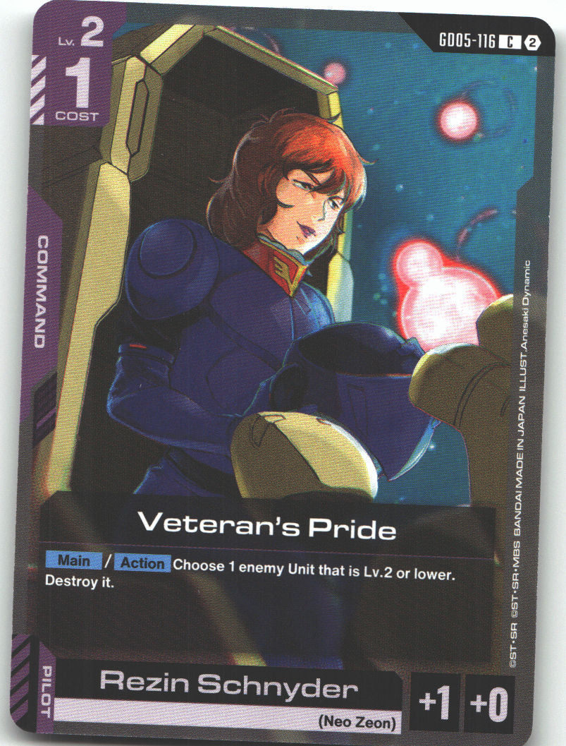 Veteran's Pride