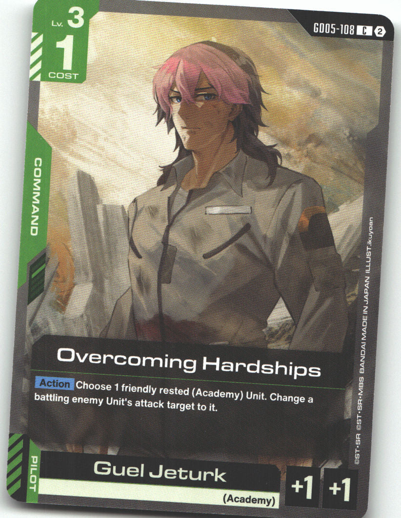 Overcoming Hardships