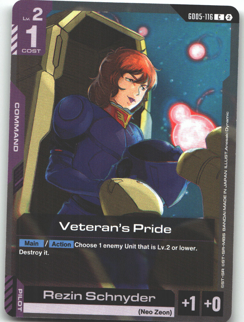 Veteran's Pride