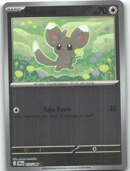 Minccino