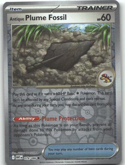 Antique Plume Fossil