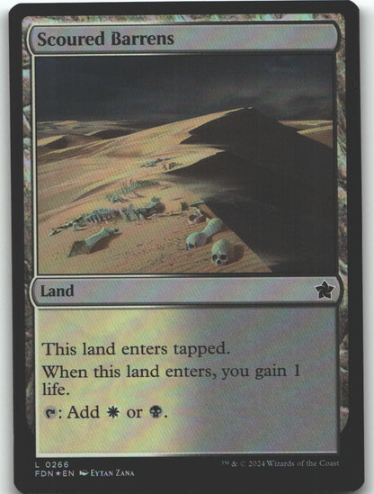 Scoured Barrens