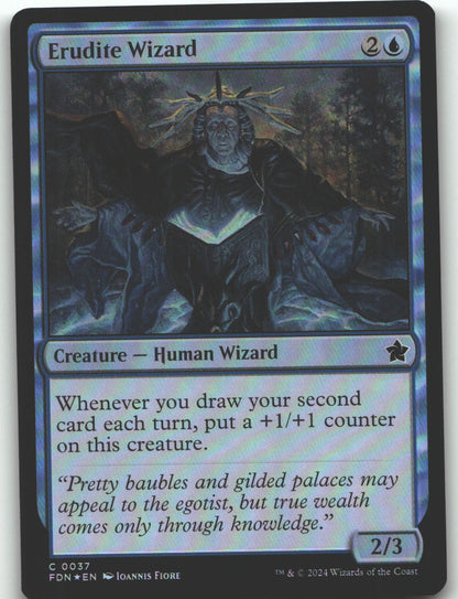 Erudite Wizard