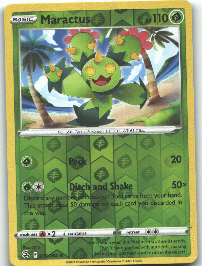 Maractus