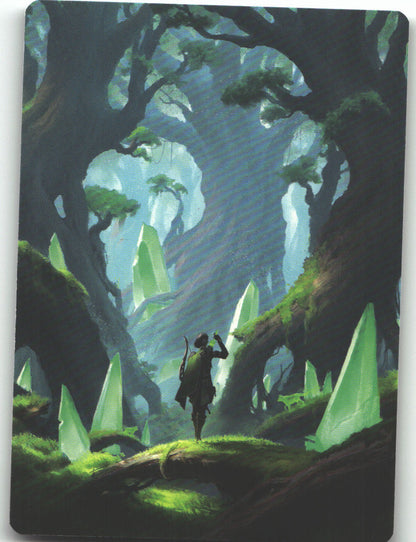 Forest Art Card (25/54)