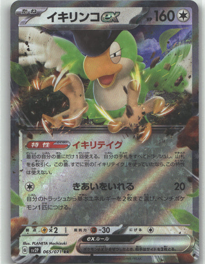 Squawkabilly ex - 065/071