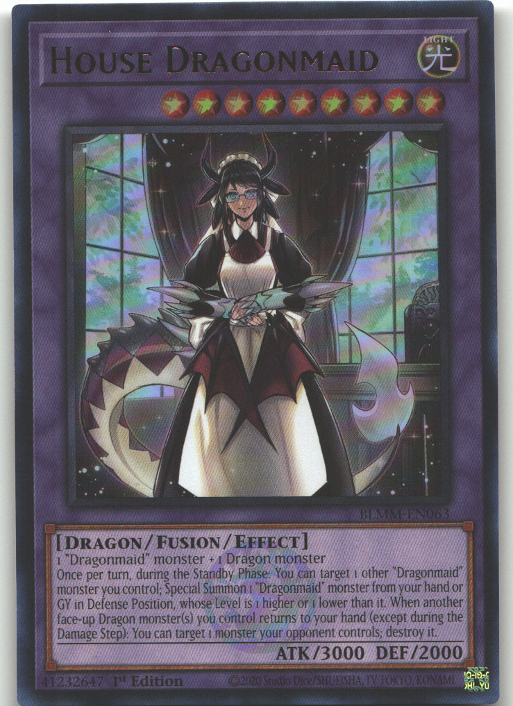 House Dragonmaid