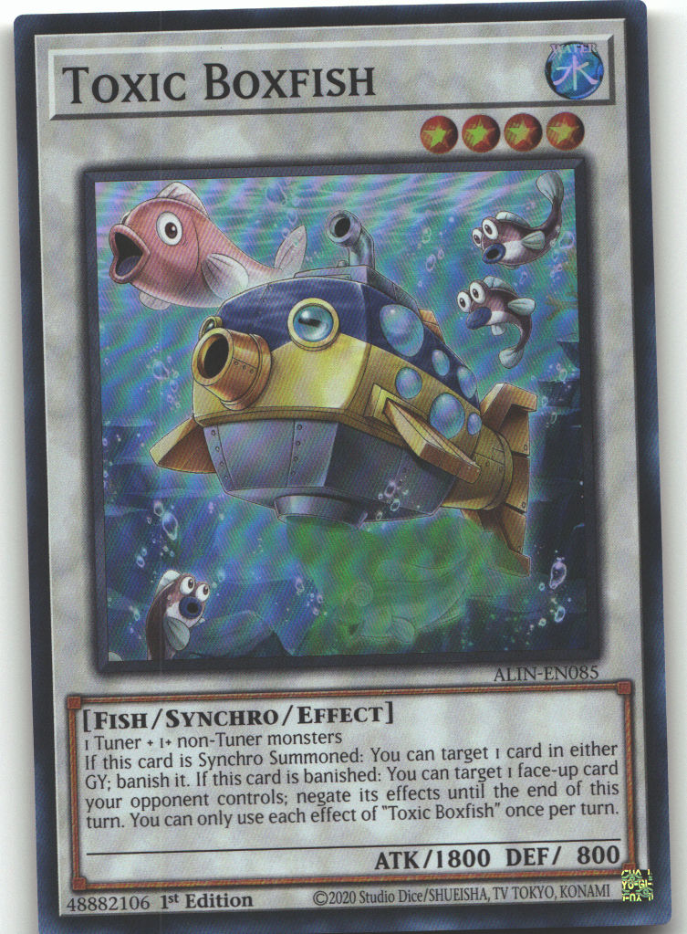 Toxic Boxfish
