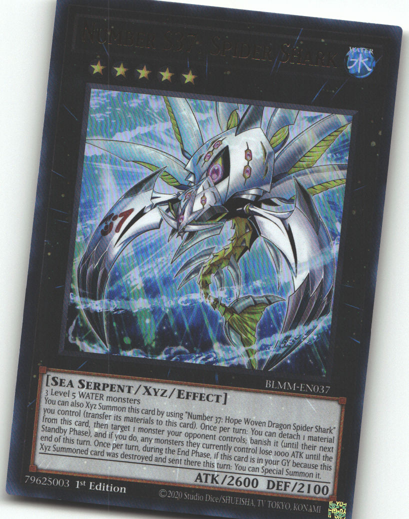 Number S37: Spider Shark