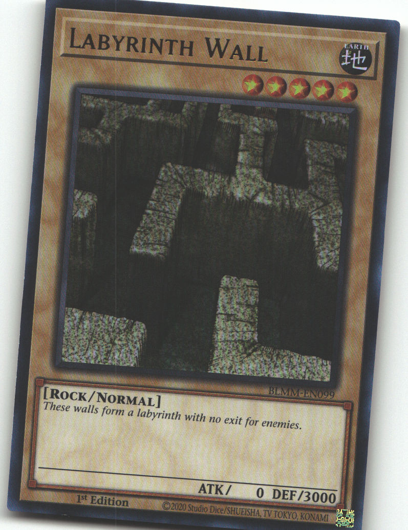 Labyrinth Wall