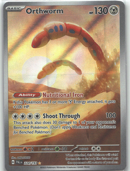 Orthworm - 224/193