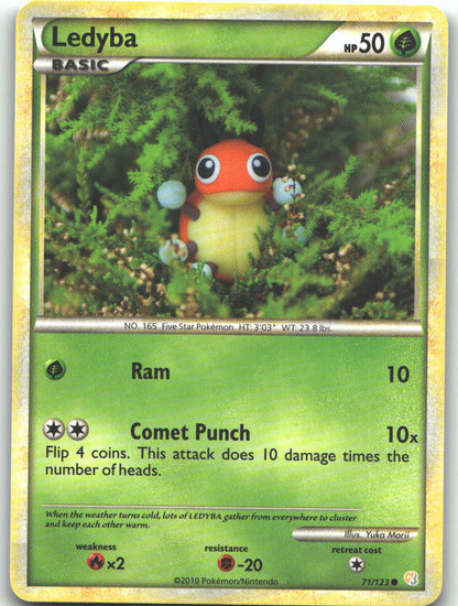 Ledyba