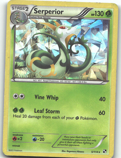 Serperior - 5/114 (Cracked Ice Holo)