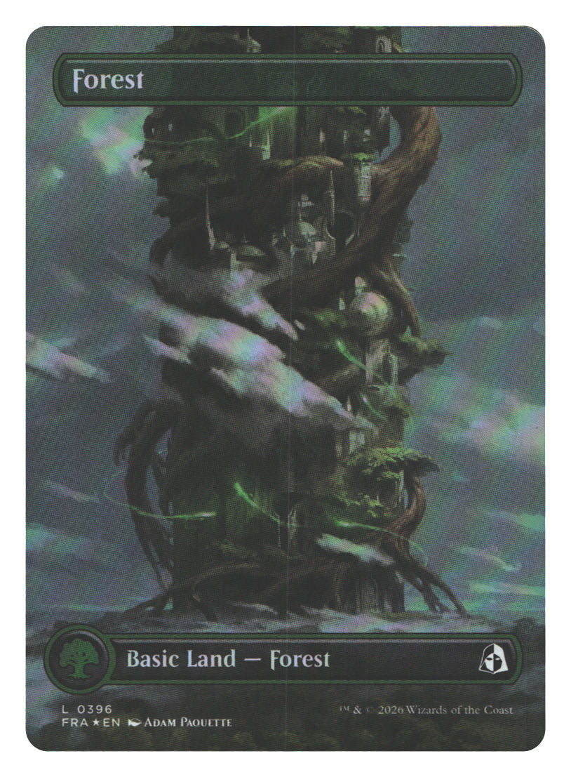 Forest (Borderless) (0396)