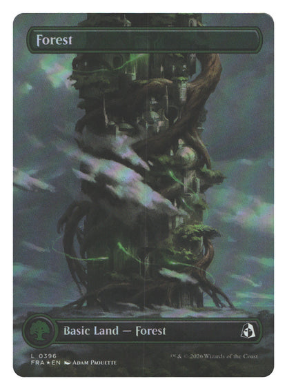 Forest (Borderless) (0396)