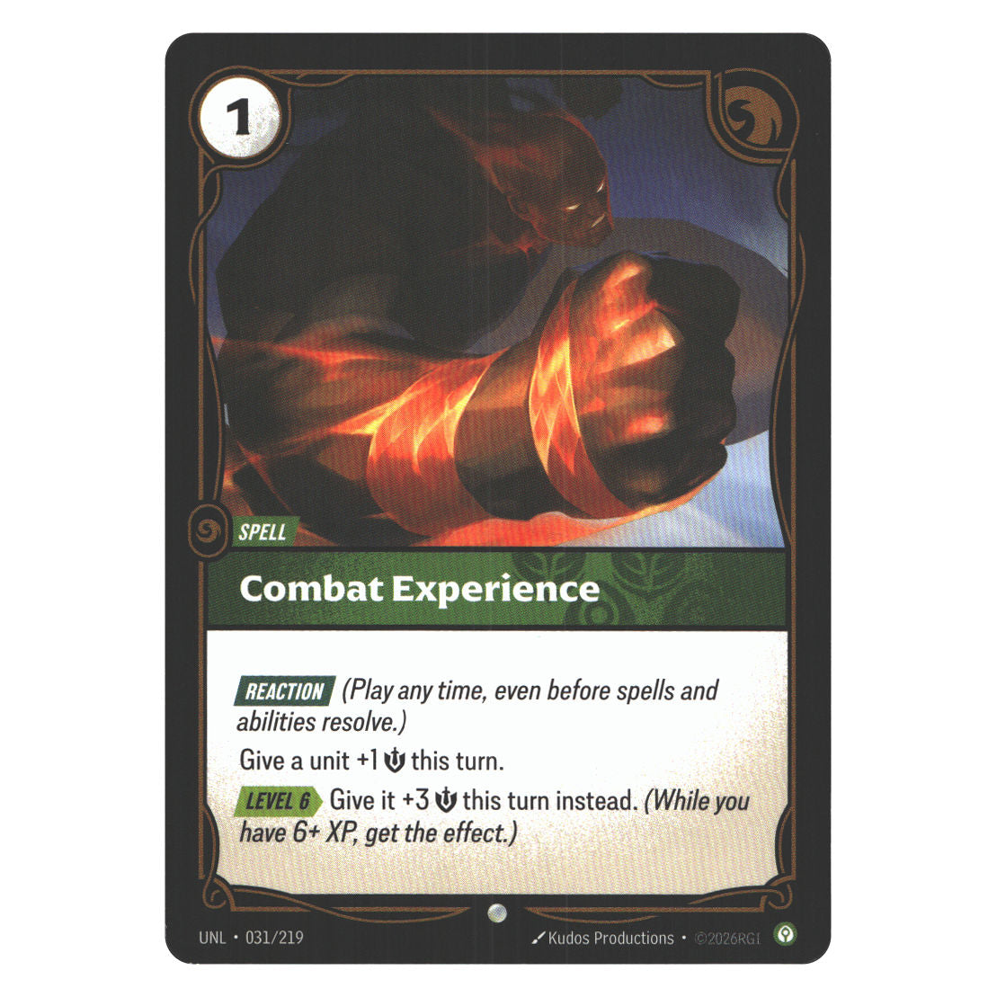 Combat Experience | Near Mint / English / Normal