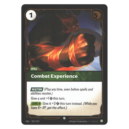 Combat Experience | Near Mint / English / Normal