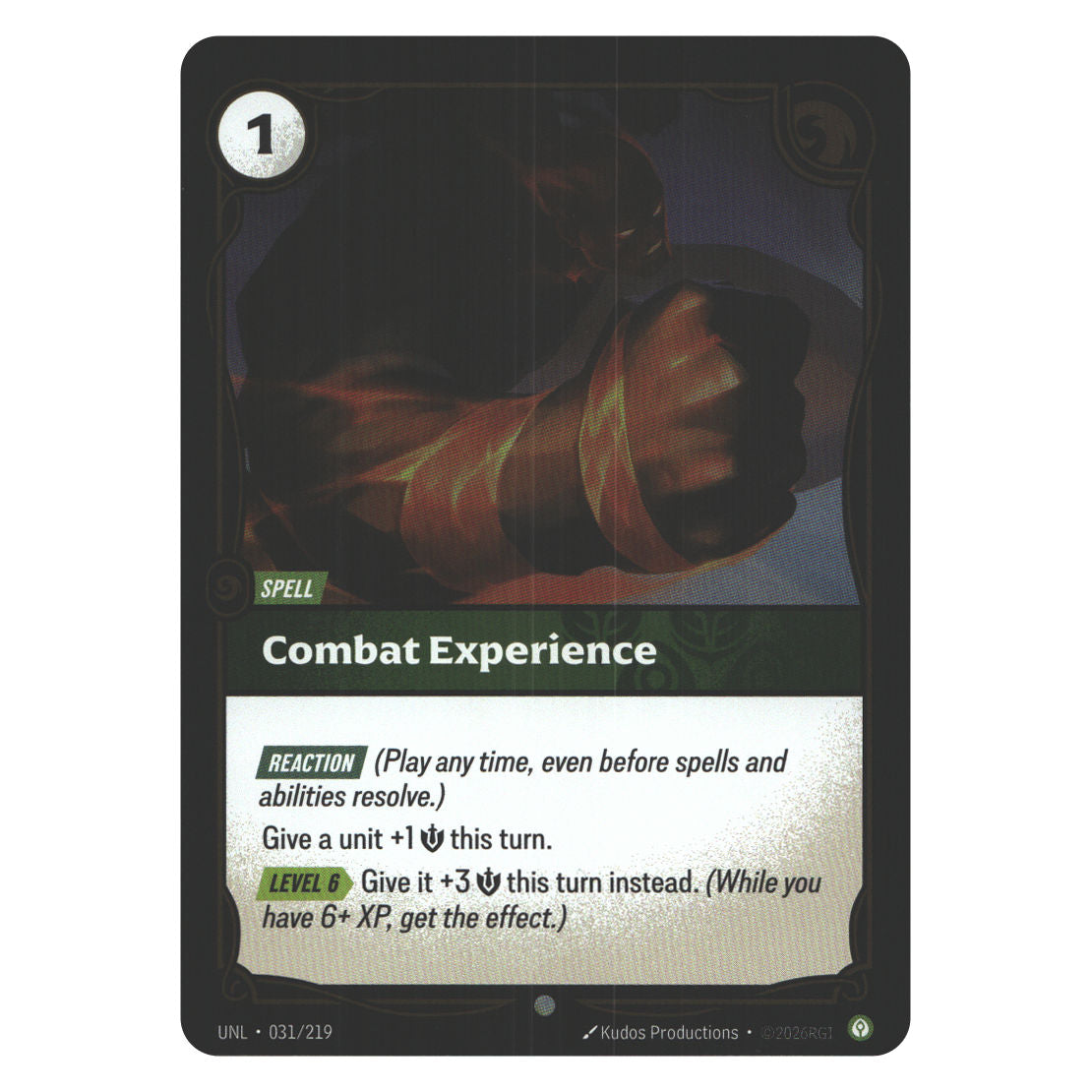 Combat Experience | Near Mint / English / Foil