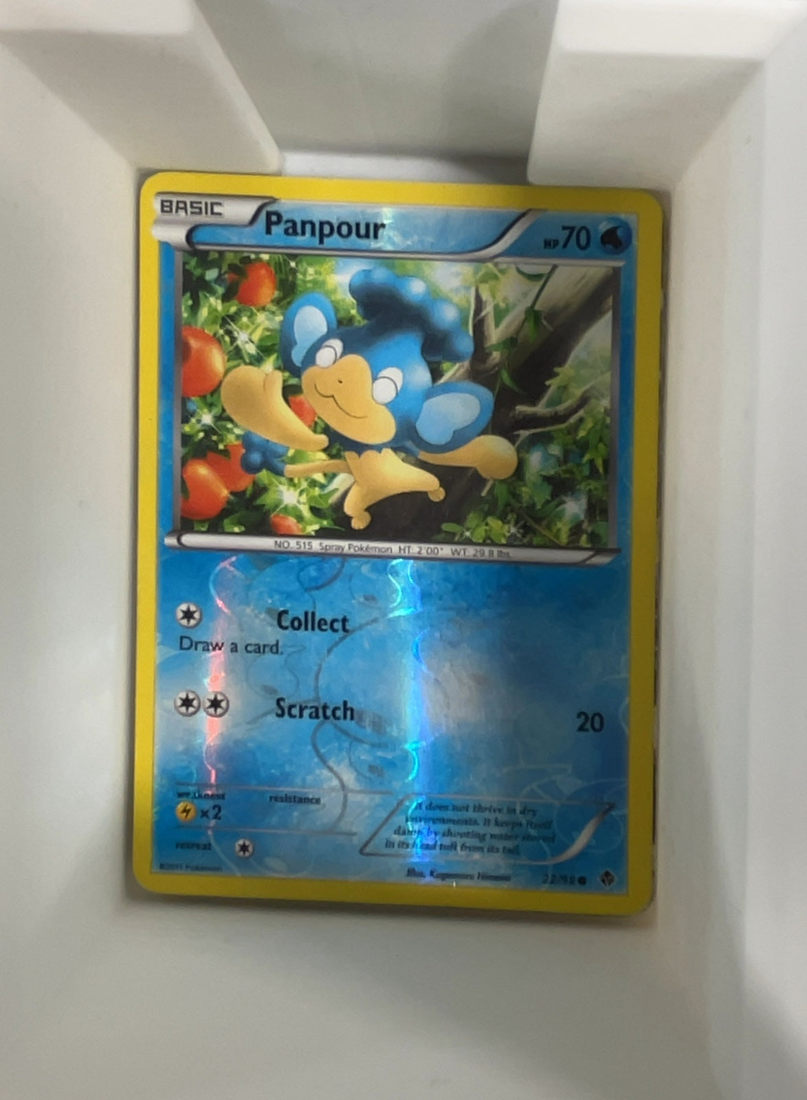 Panpour
