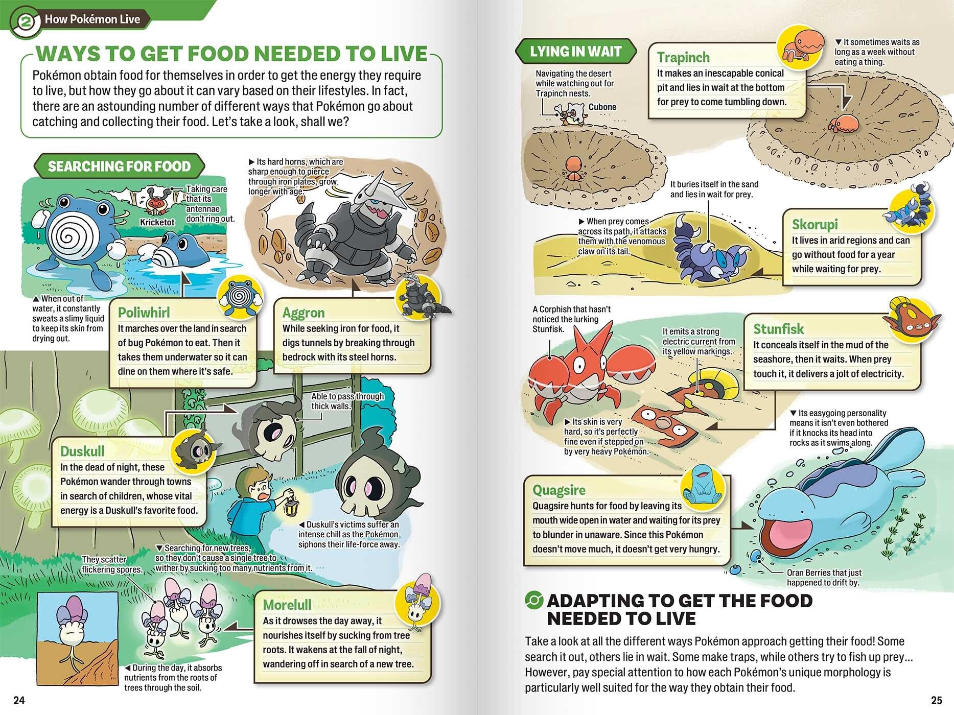 Pokécology illustrated interior spread